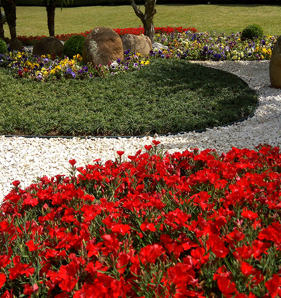 Verde Ideal | jardinagem e paisagismo