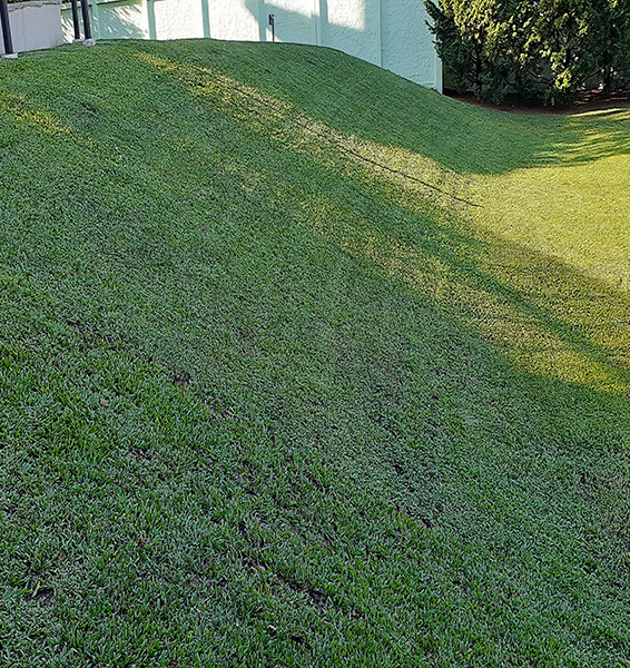 Verde Ideal | jardinagem e paisagismo