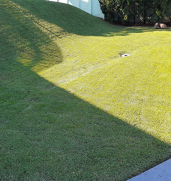 Verde Ideal | jardinagem e paisagismo