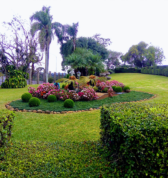 Verde Ideal | jardinagem e paisagismo